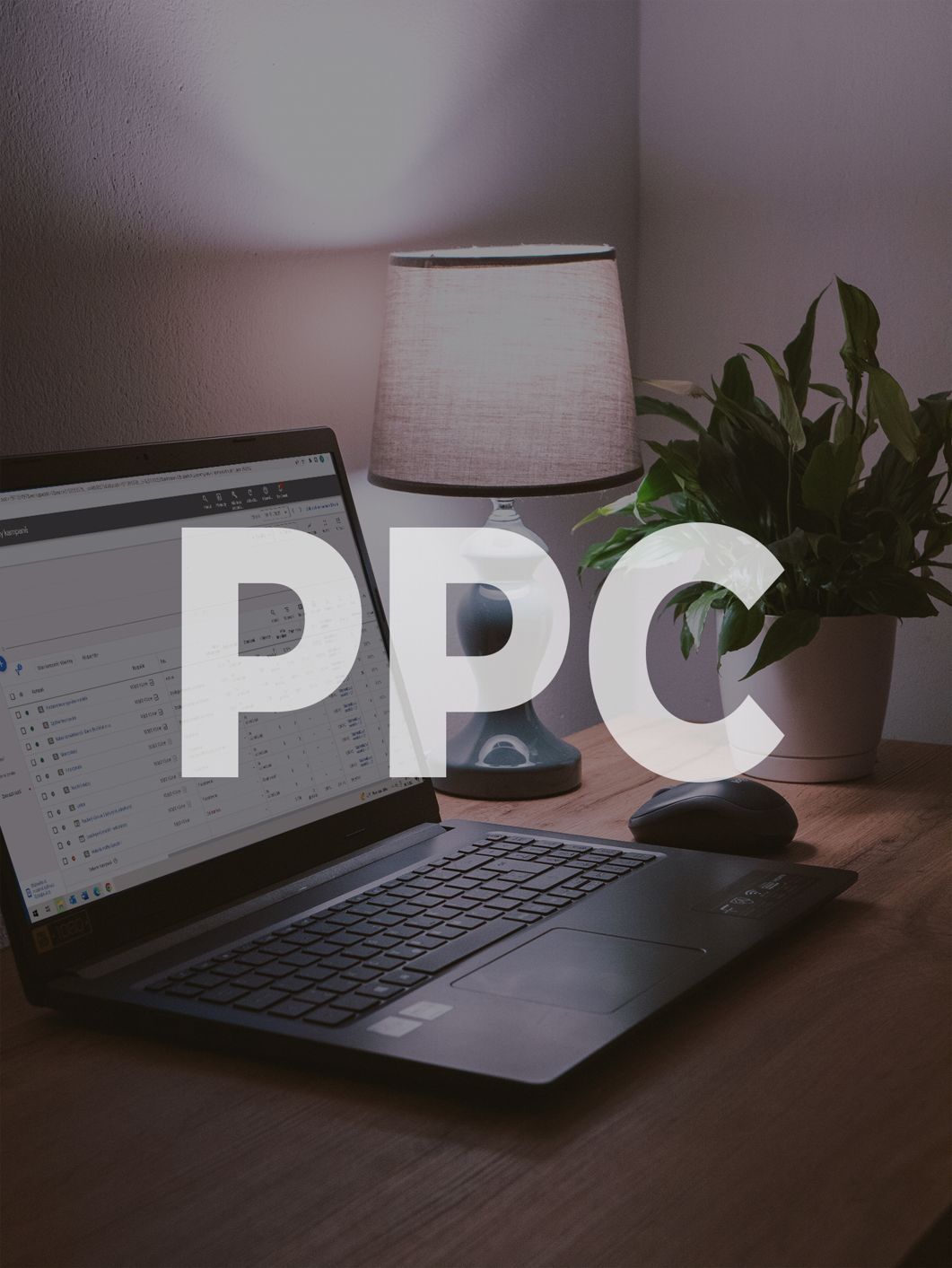 PPC reklamy