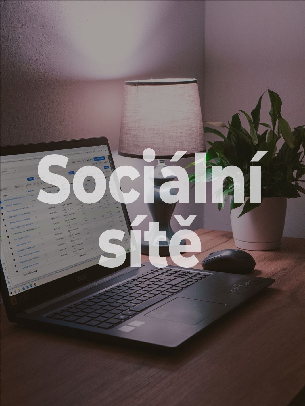 Reklama na sociálních sítích – Facebook, Instagram, Youtube